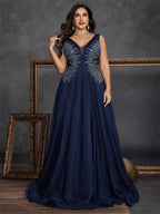 Women’s Navy Blue Elegant Embroidered Mesh V-Neck Sleeveless A-Line Maxi Dress with Sequin Detail